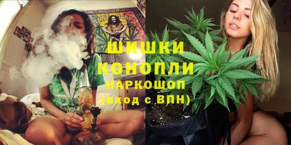 гидропоника Абаза