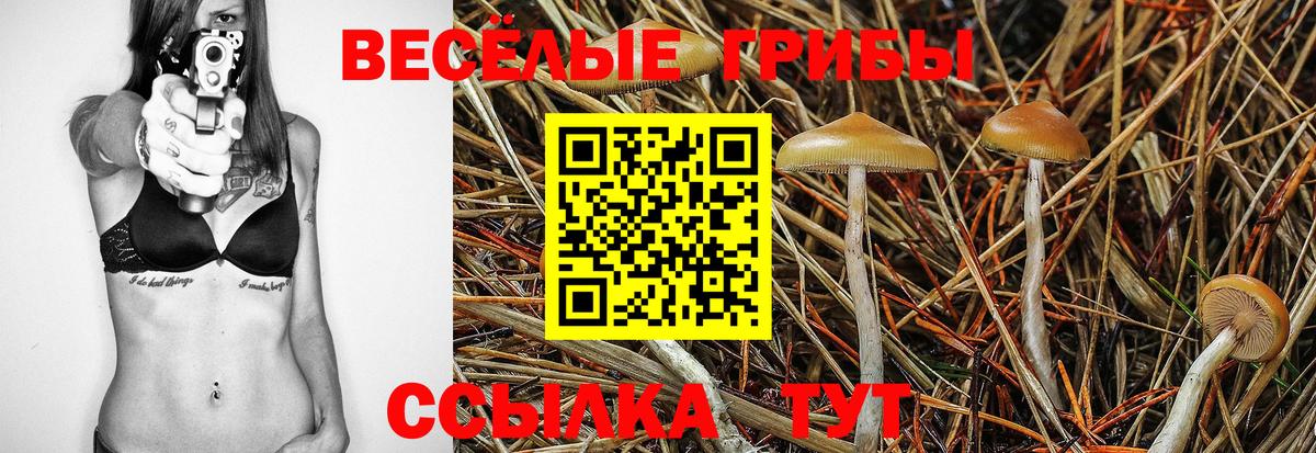 Шебекино  Галлюциногенные грибы MAGIC MUSHROOMS  Галлюциногенные грибы Magic Shrooms  Вход с VPN 