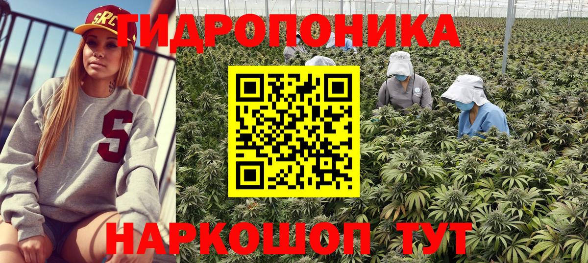 Конопля OG Kush Шебекино